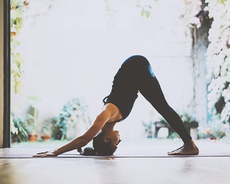 Online Yoga Classes on cult.fit Start Your Wellness Journey At Home