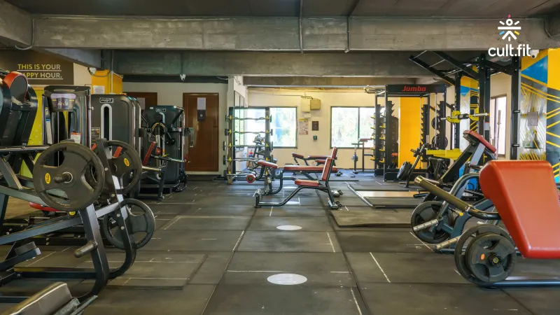 Gyms in frazer town top