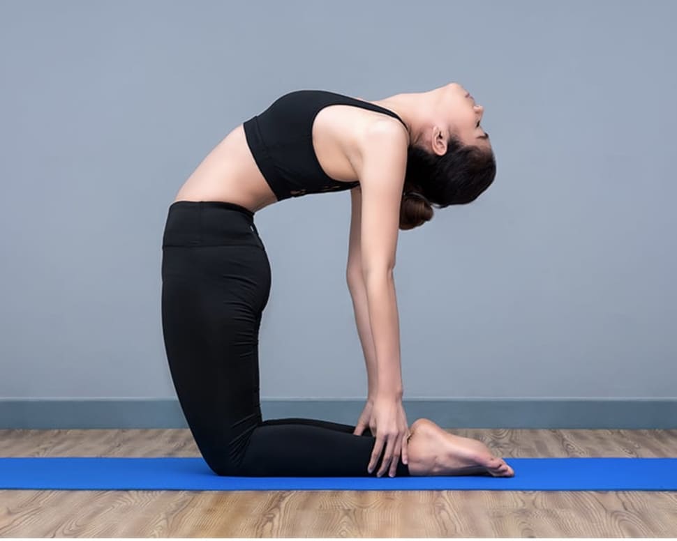 Back bending 2025 exercise