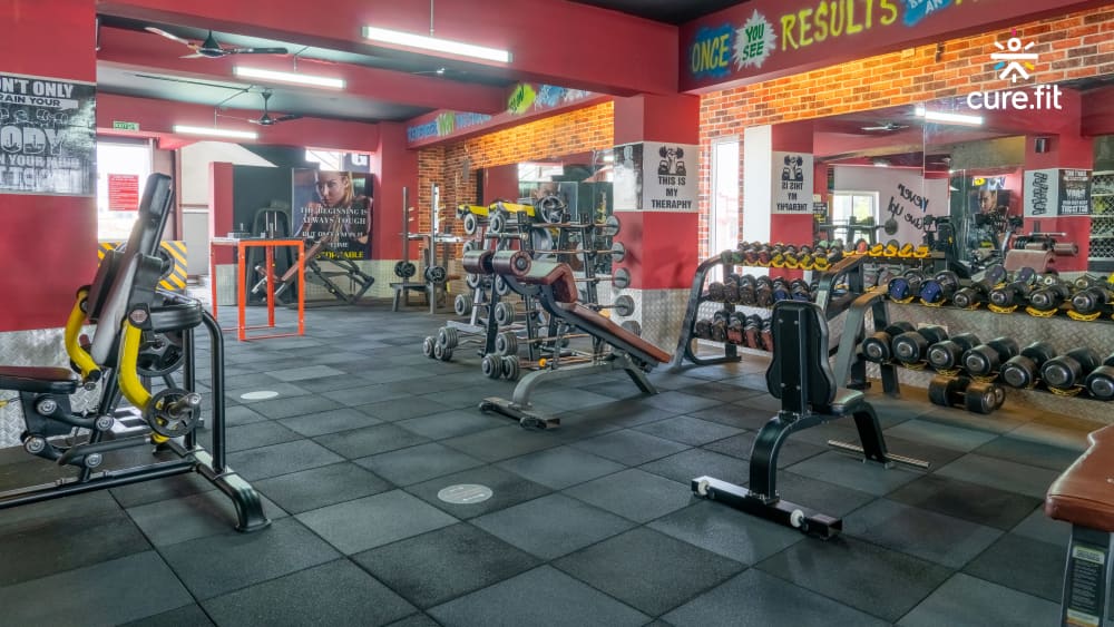 Ab fitness deals tolichowki