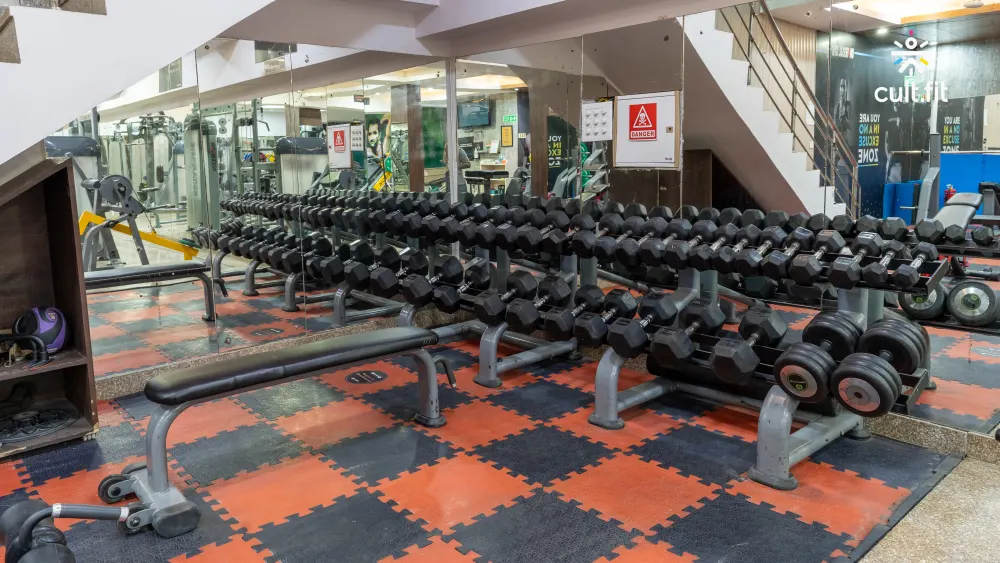 The universal gym online