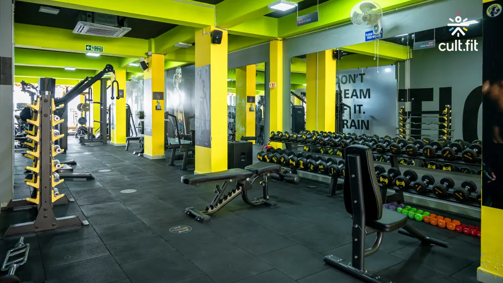 Stark fitness deals