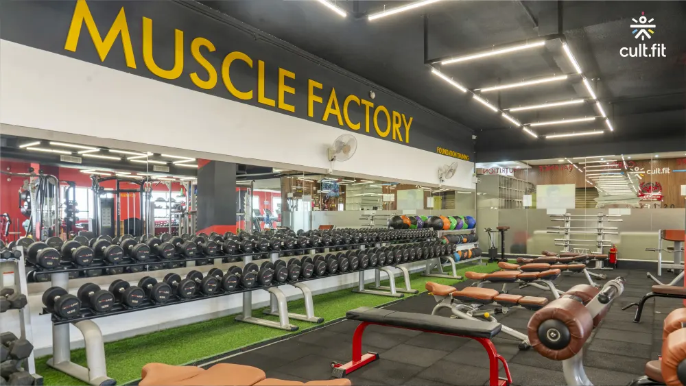 Gym in electronic city online