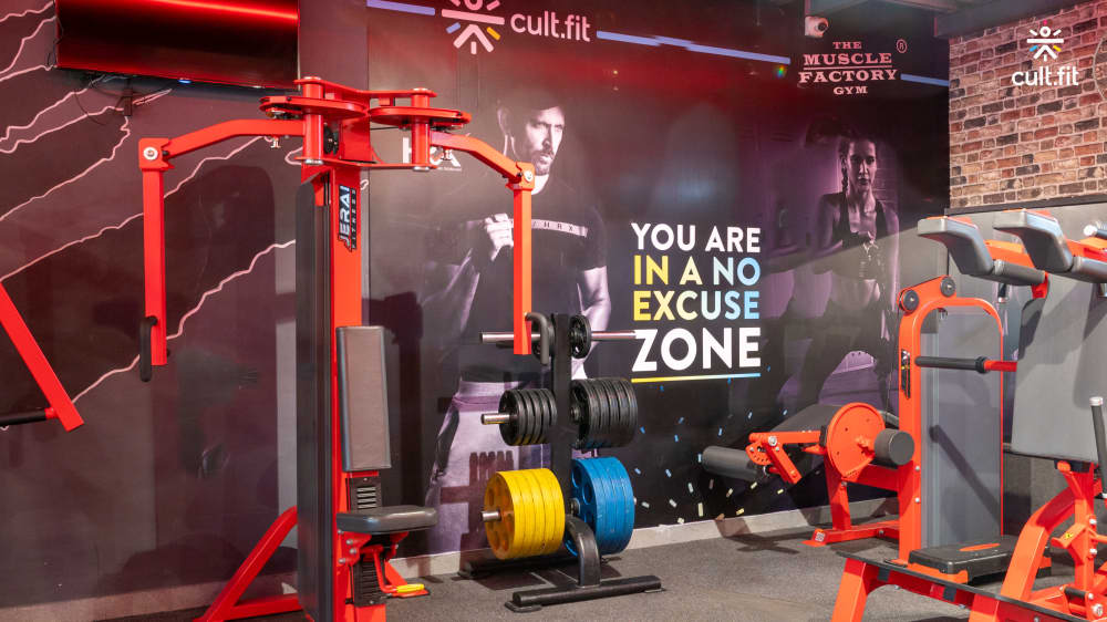 Muscles discount factory gym