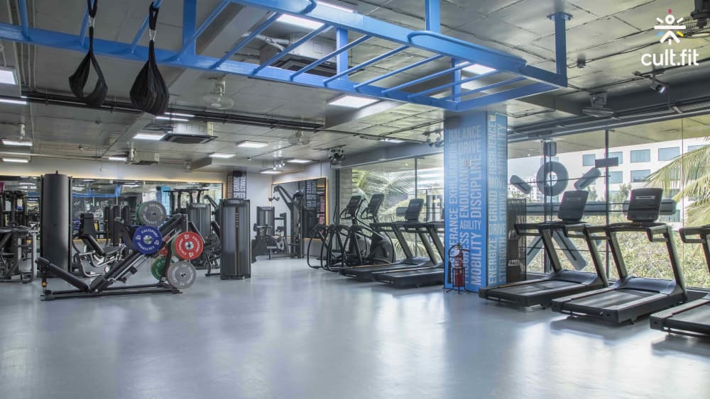 Cult fit for hotsell beginners