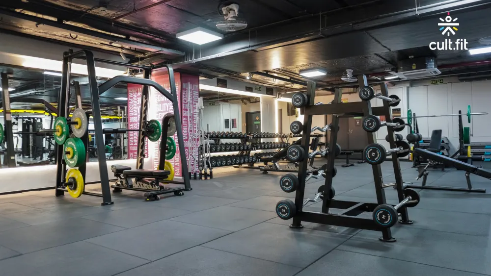Cult fit online for beginners