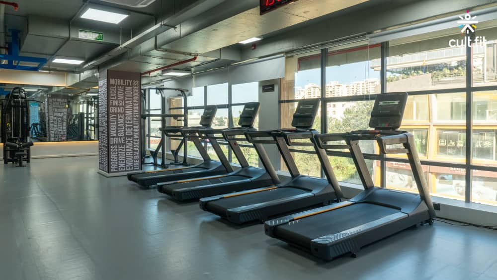 cult.fit health food fitness meditation