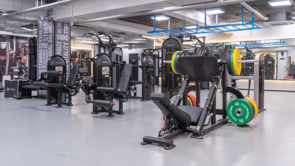Gym equipment hot sale shop in rohini