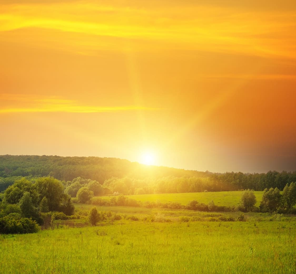 Gratitude Series - 1 