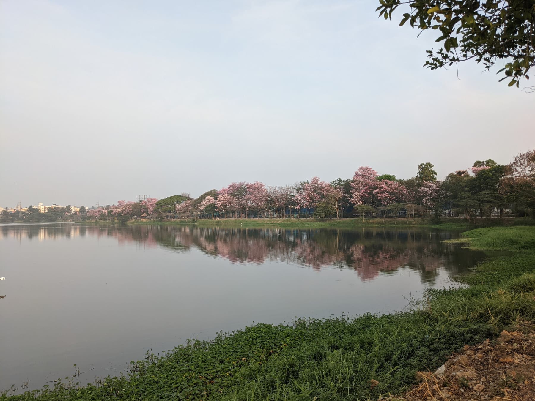 first-image