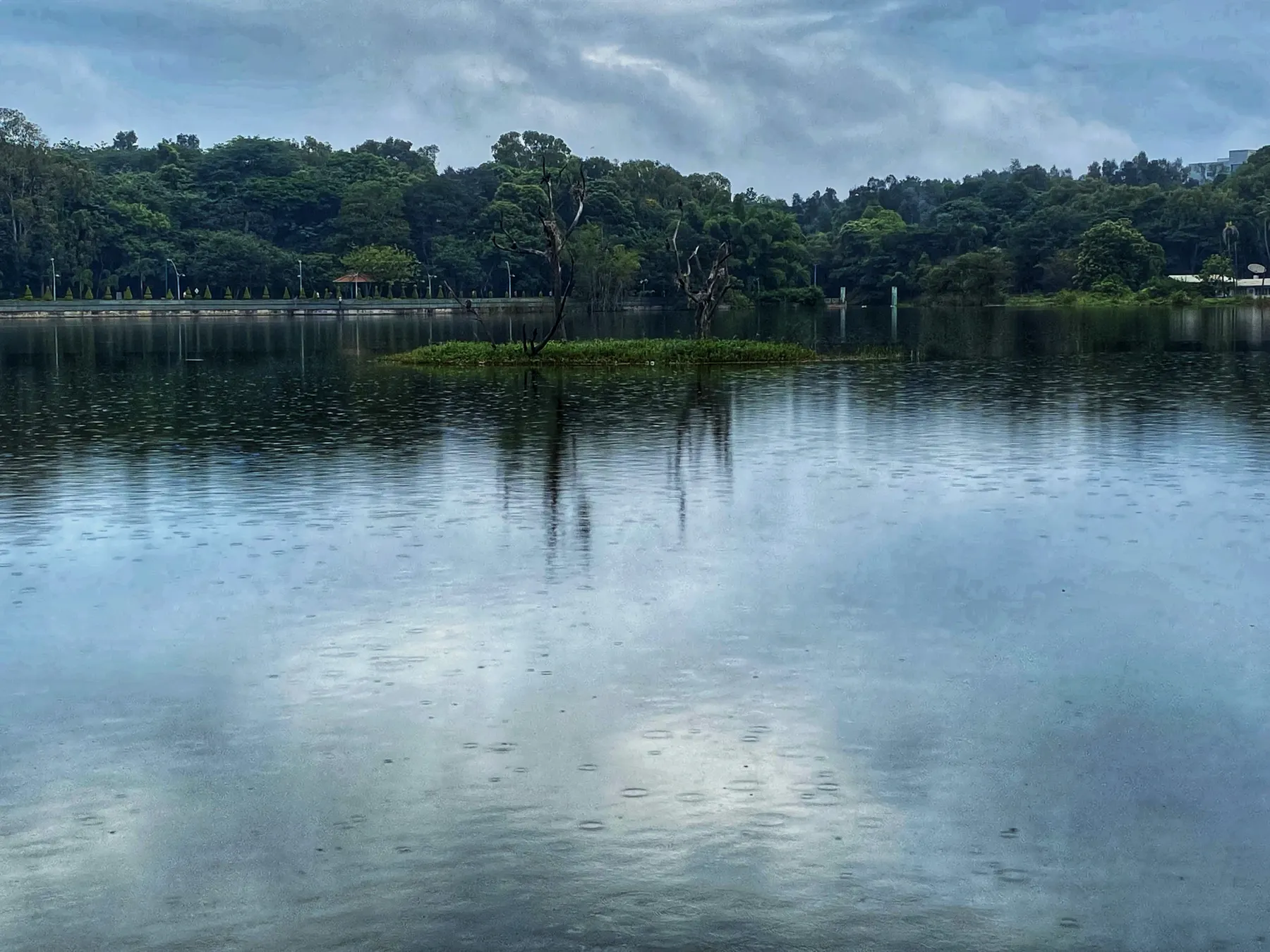 first-image