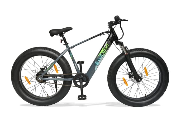 Eco bike pro plus price cheap