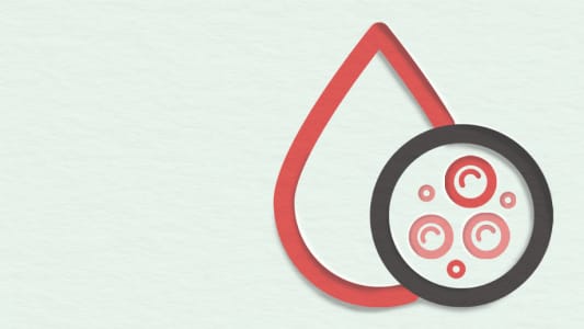 Anemia Profile