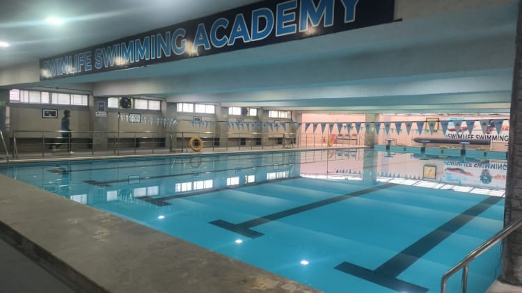 Swimlife-Cult.Play-Museum Road