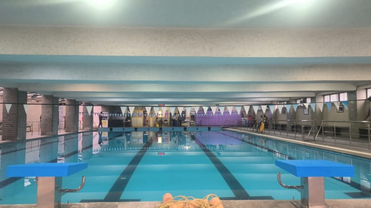 Swimlife-Cult.Play-Museum Road