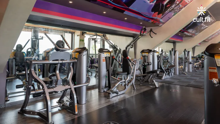 Elon Fitness