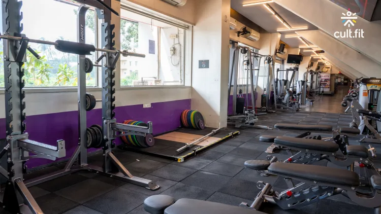 Elon Fitness