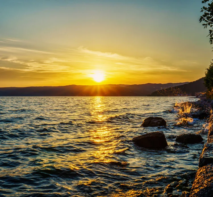 Yoga Nidra Series -3
