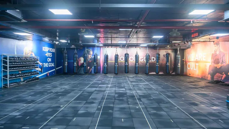 Cult Gachibowli