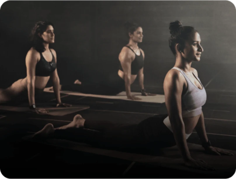 fitness