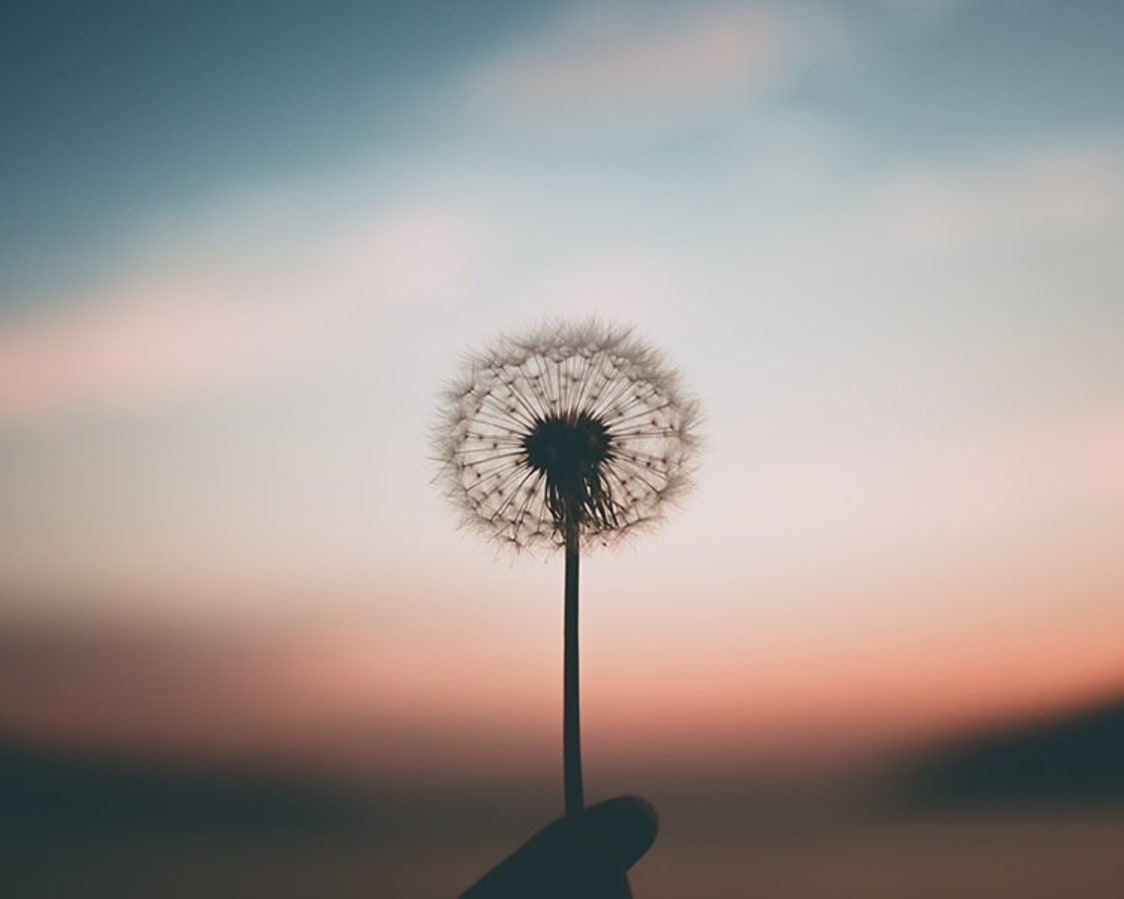 Mindfulness in Daily Life