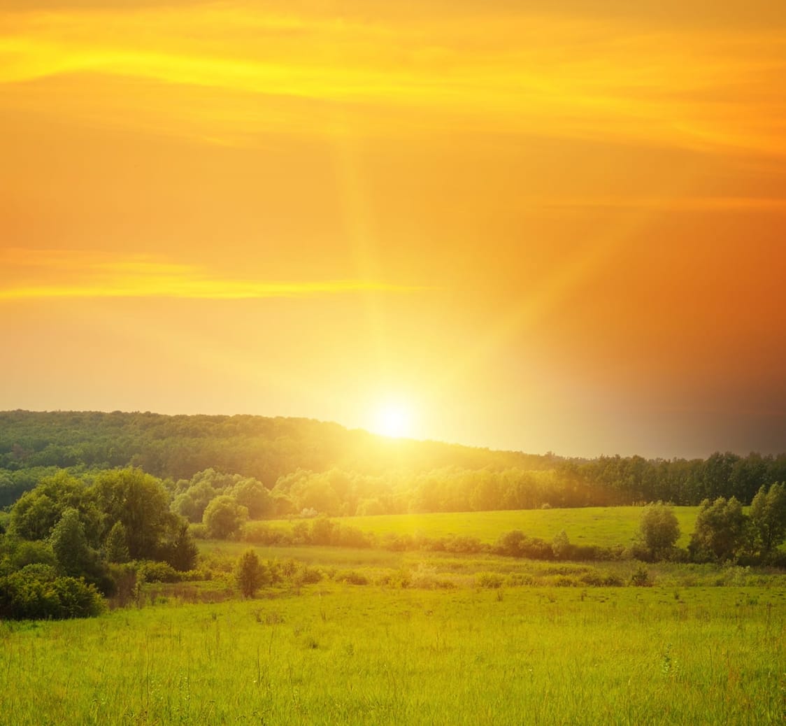 Gratitude Series -1 