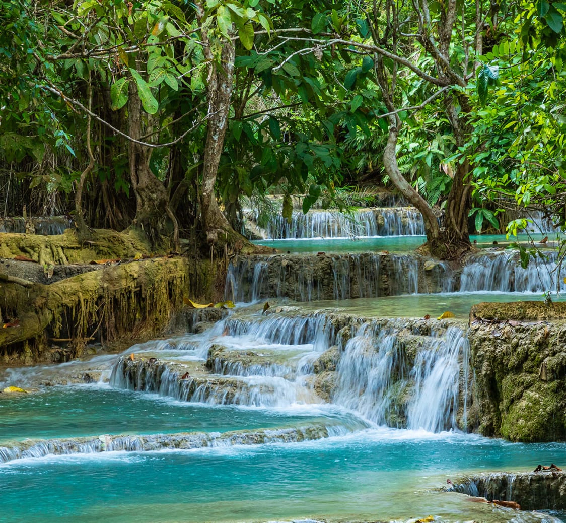 Naturescapes