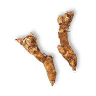 Galangal / Thai Ginger