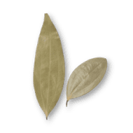 Bay Leaf
