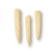 Baby Corn Peeled
