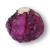 Red Cabbage