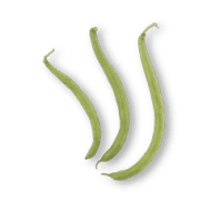Haricot Bean