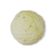 Green Cabbage