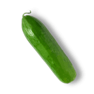 English Cucumber