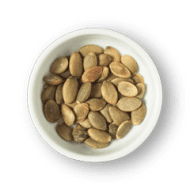 Pumpkin Seed
