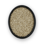 Quinoa
