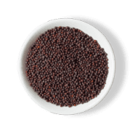 Mustard Seeds
