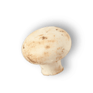 Button Mushrooms