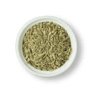 Fennel Seeds