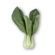 Bok Choy