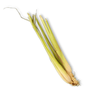 Lemon Grass