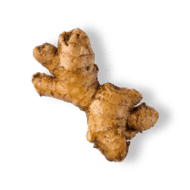 Ginger