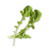 Arugula