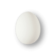 Raw Egg