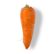 Carrot-regular